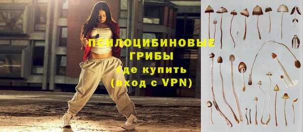 прущие крисы Алексин