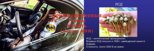 индика Алексеевка